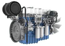 W020250325396776608174